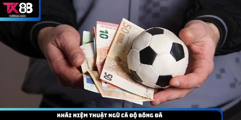 Khái niệm thuật ngữ cá độ bóng đá