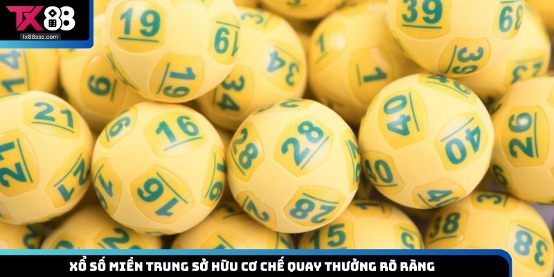Cơ cấu giải thưởng hấp dẫn mà bạn không thể bỏ qua